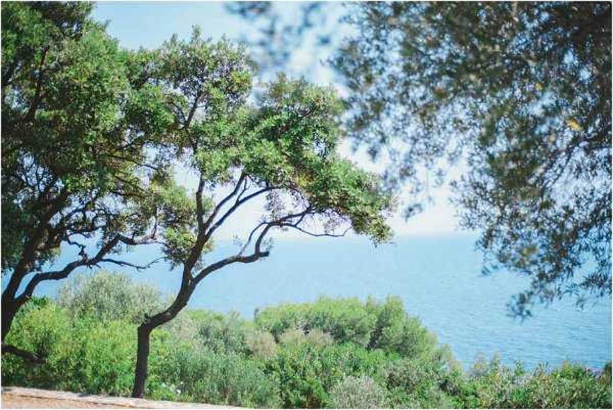 provence