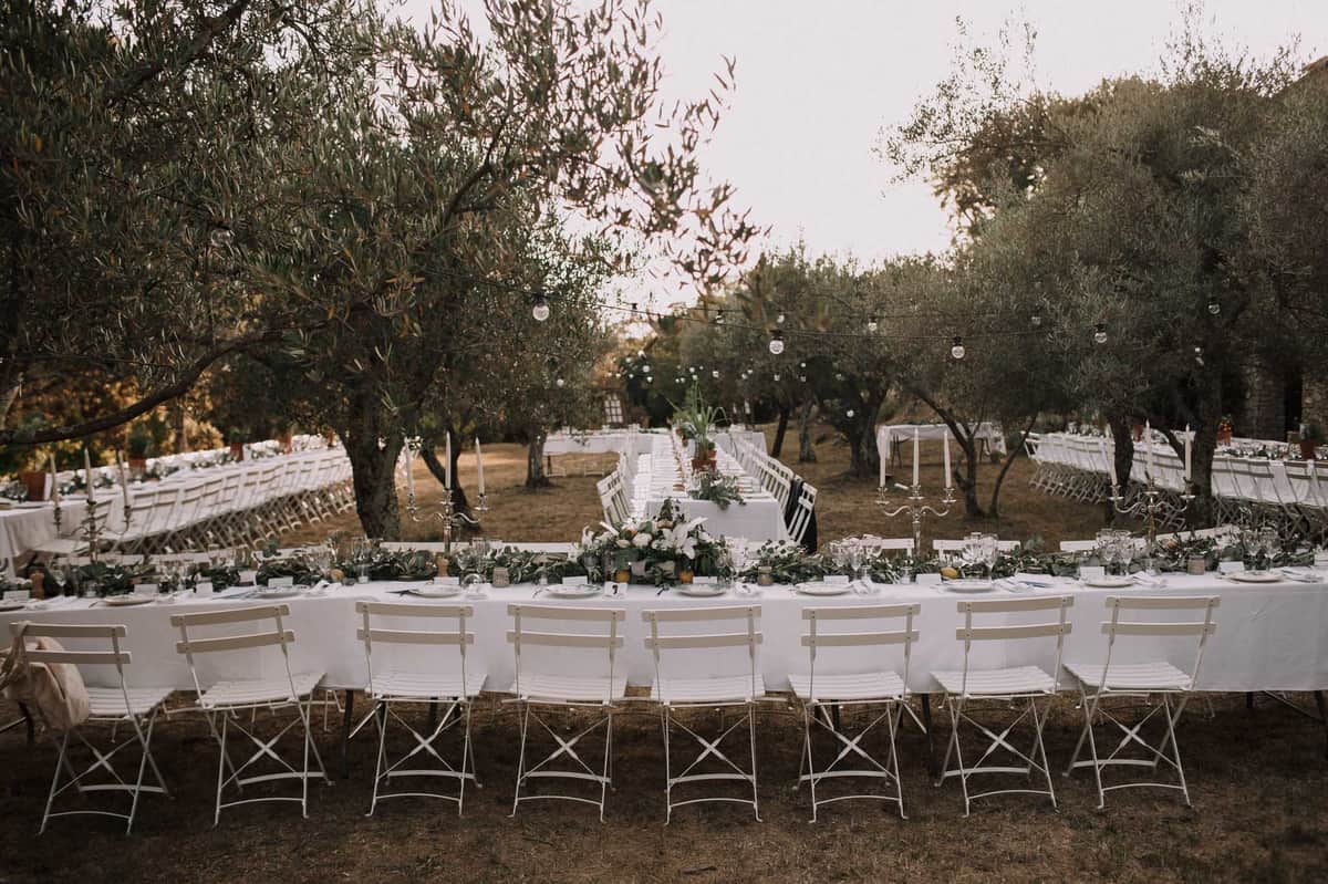 Outdoor wedding reception tables in an olive grove with eucalyptus garland runners, citrus accents, and string lights over...