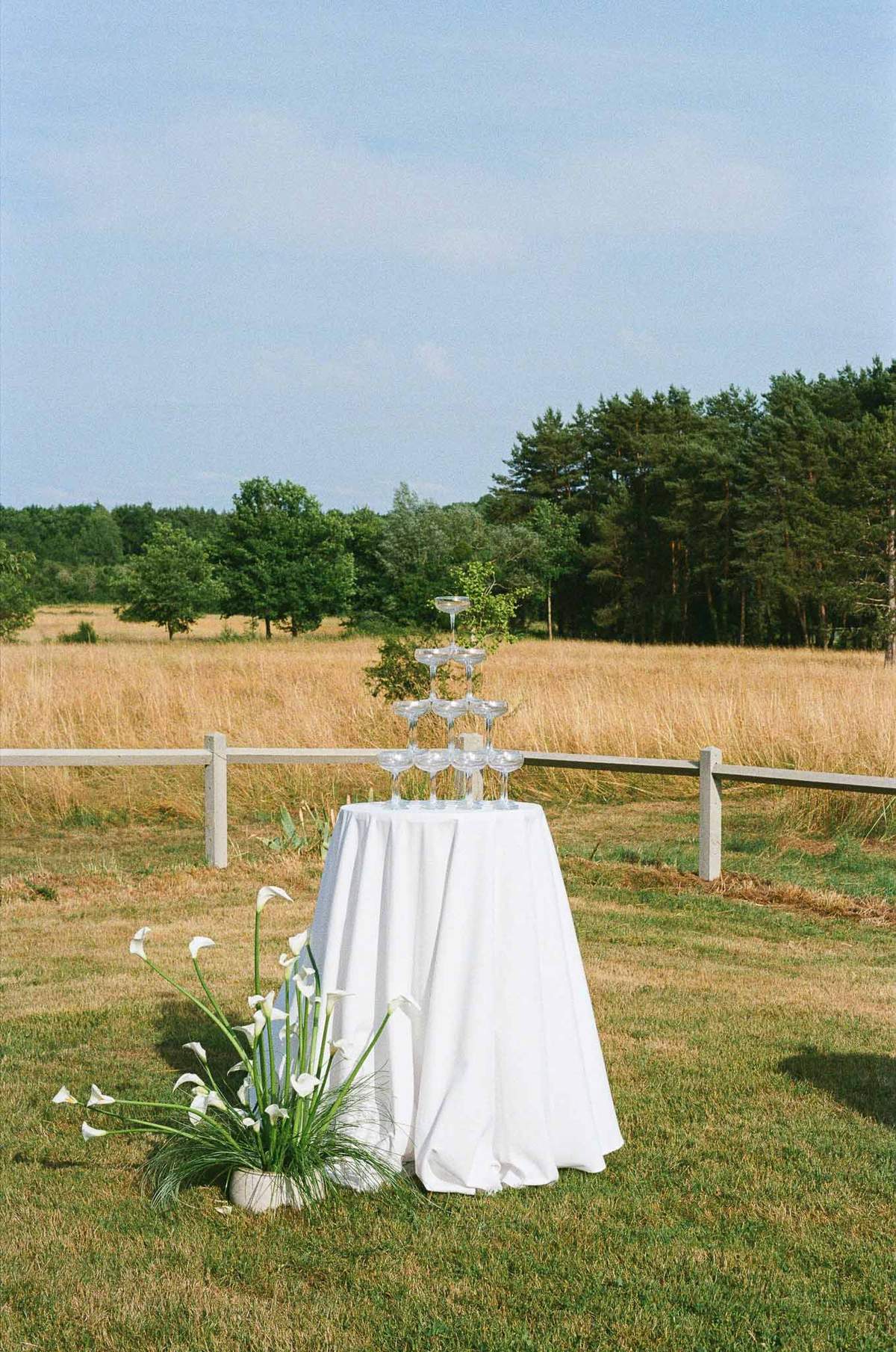 Calla Lilies and Candlelight at Domaine la Blondellerie, Loire Valley