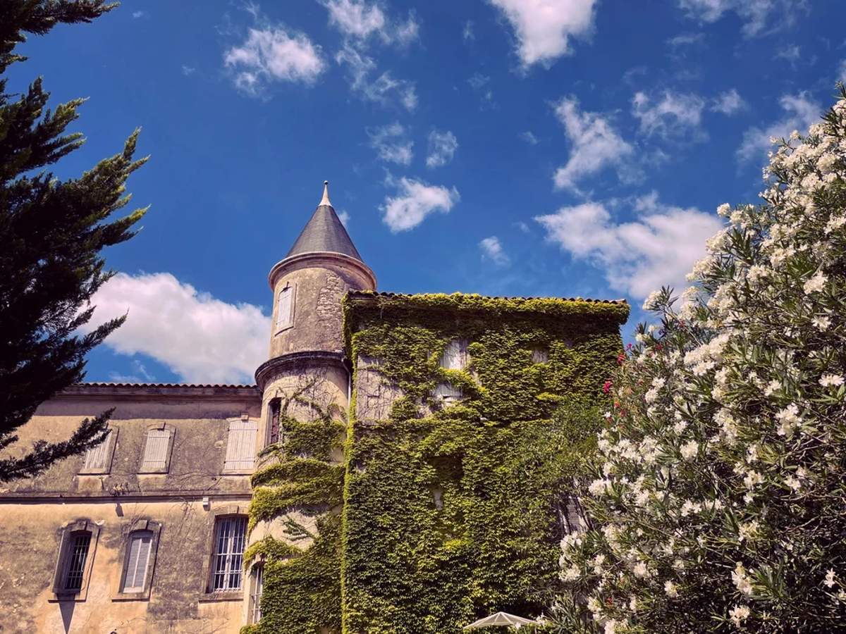 Château de Villèle Reviews: What Couples Are Saying