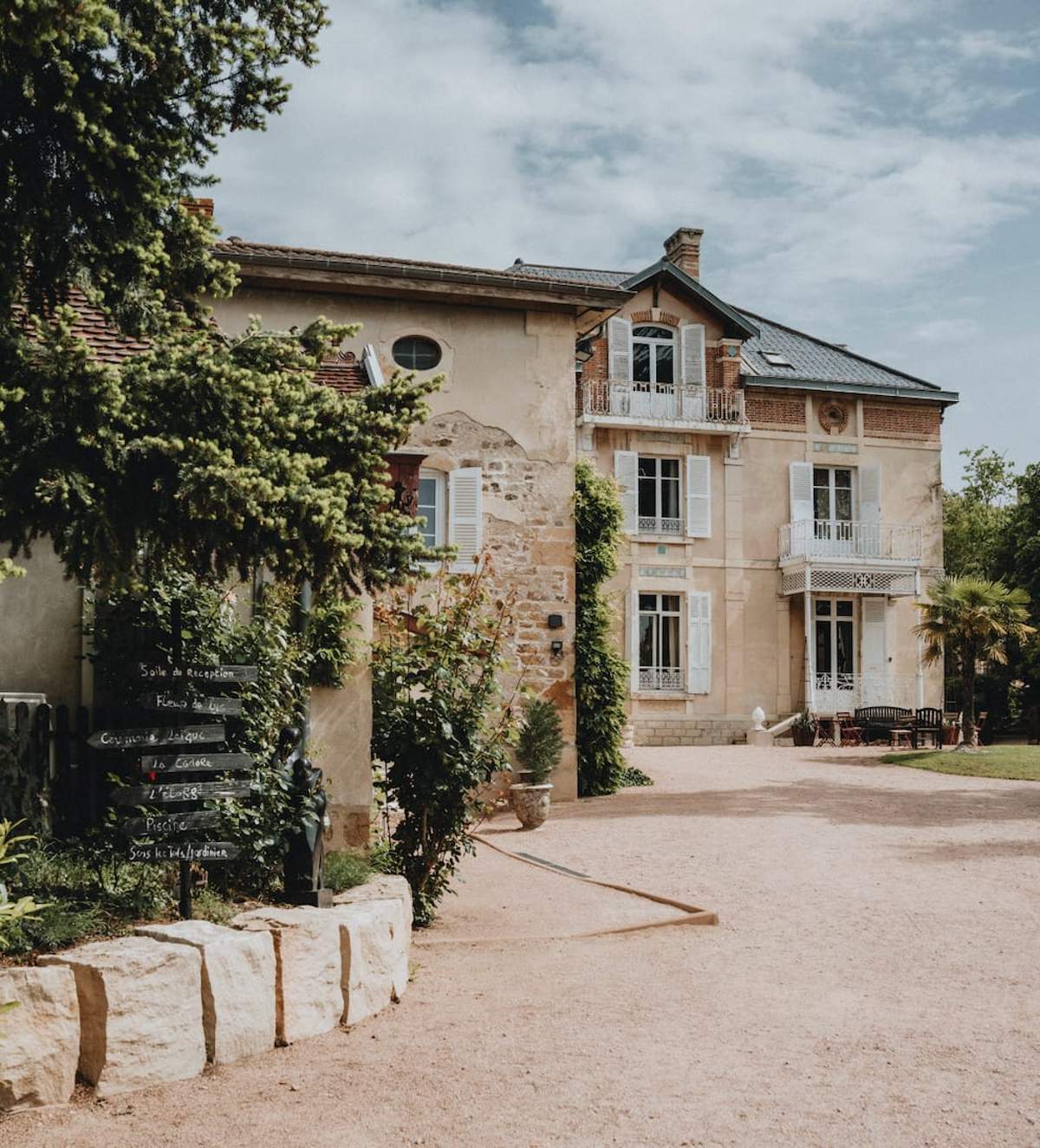 Vineyard