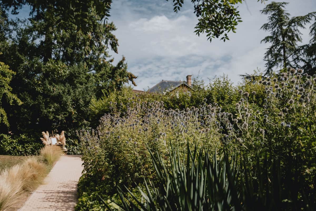 Garden path lined with pampas grass and globe thistle, the estate's rooftop visible above the hedges