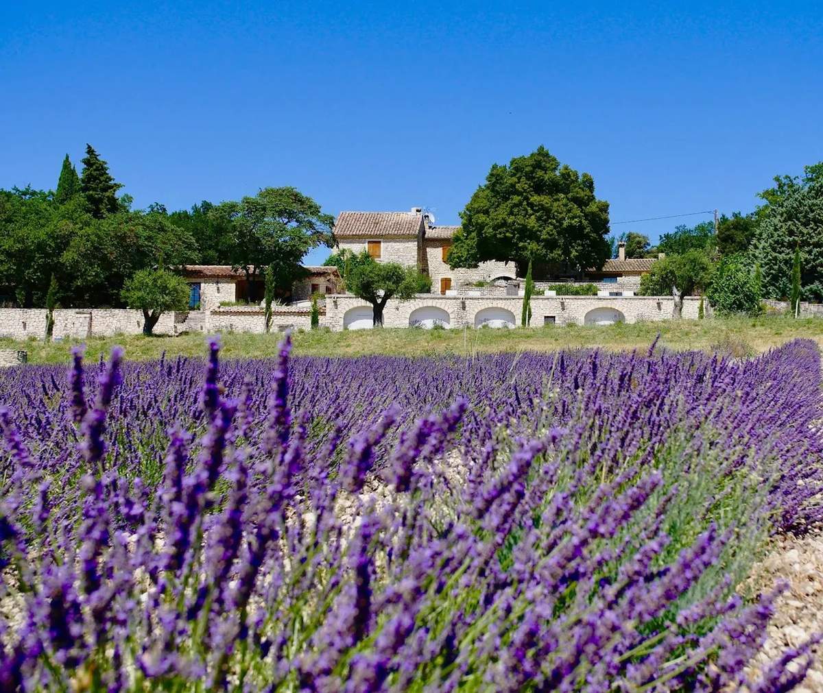Domaine les Grillons