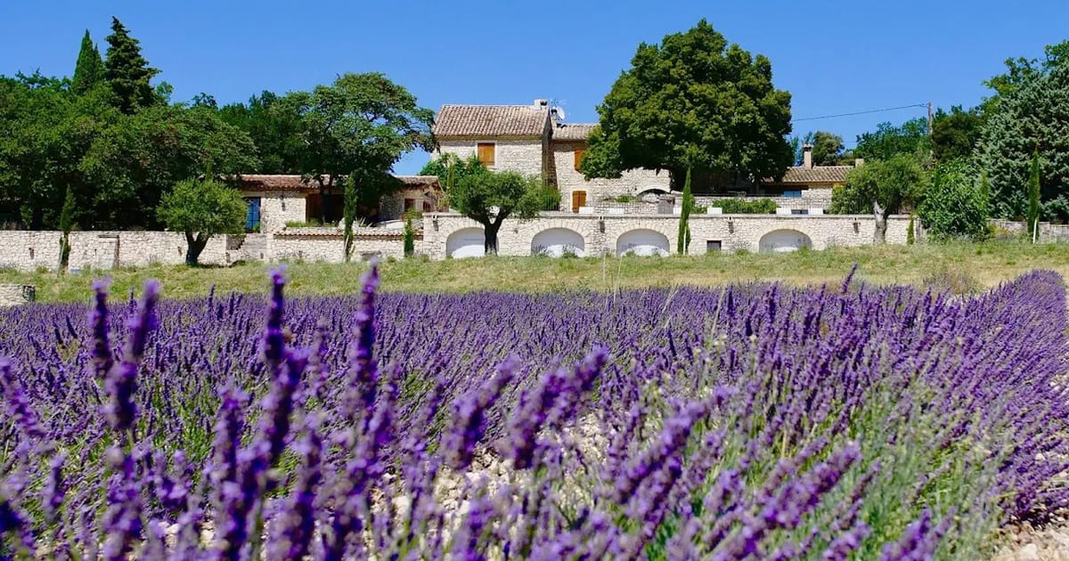 Domaine les Grillons Wedding Venue | FWS