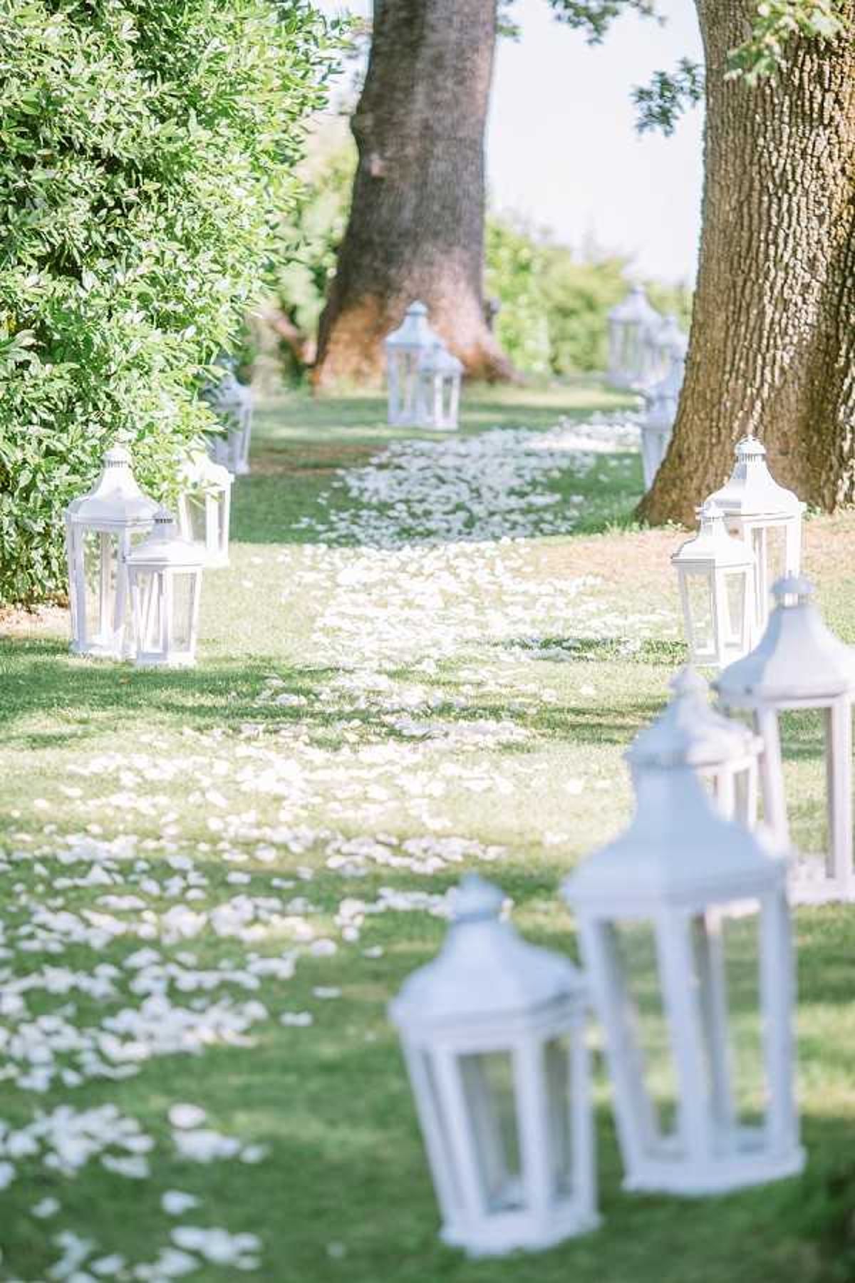 Detail shot of an outdoor wedding ceremony aisle set in a garden or parkland, with no people present. The aisle is lined on both sides with white wooden lanterns of varying heights, arranged in clusters, and scattered white rose petals cover the grass path leading into the distance. The decor palette is entirely white, creating a clean, classic aesthetic. The composition is a perspective shot taken from ground level, with the foreground lanterns in soft focus and the aisle receding toward large trees in the background.