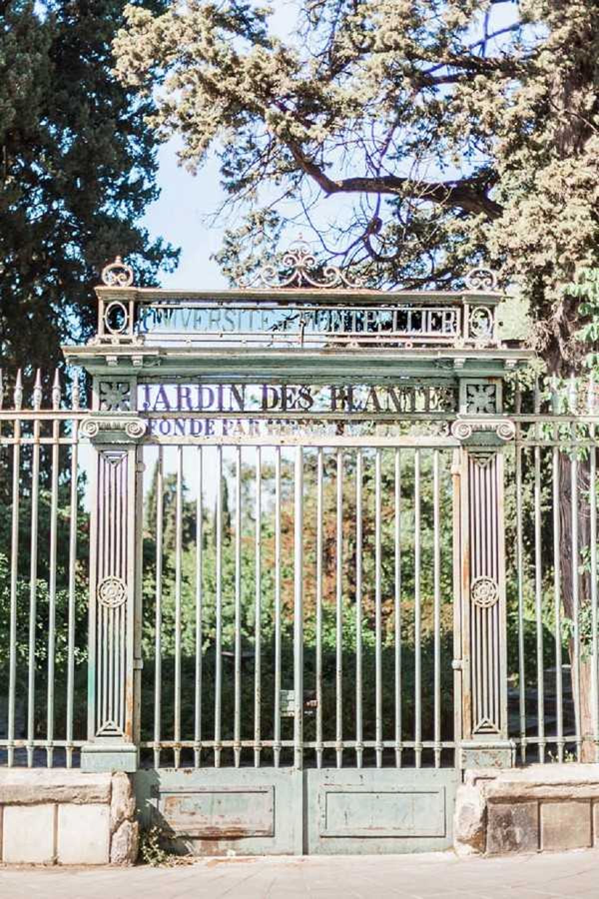 Montpellier wedding destination