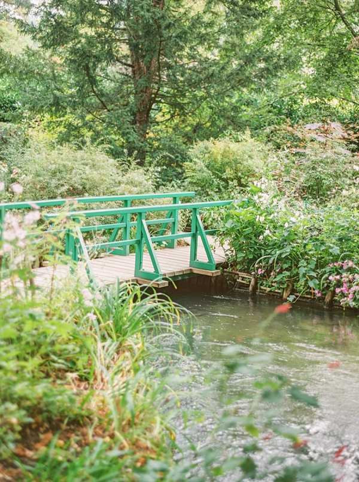 A wide landscape shot of a small decorative footbridge with a bright green painted wooden railing and natural wood plank deck, spanning a calm narrow waterway in a lush garden setting. No people are visible in the image. The surrounding garden features dense foliage, pink flowering plants on the right bank, and tall trees forming a canopy overhead. The composition is taken from a low angle at water level with foreground plant stems softly out of focus, giving depth to the scene. Potential venue feature image.