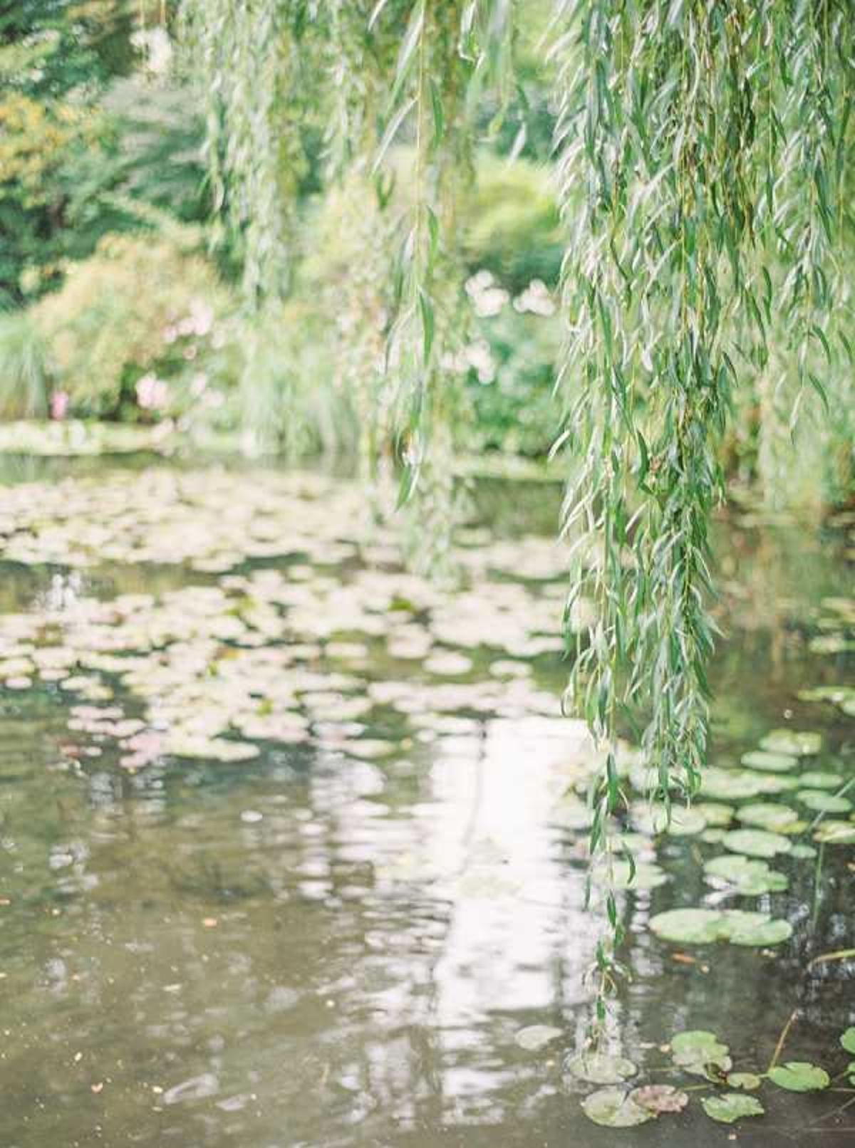 A wide landscape shot of an outdoor garden pond covered with lily pads, framed by trailing weeping willow branches in the foreground. No people or wedding-related subjects are visible in the frame. The image has a soft, film-like quality with muted green tones and gentle light reflections on the water's surface. This appears to be a venue grounds detail shot rather than a wedding moment. Potential venue feature image.