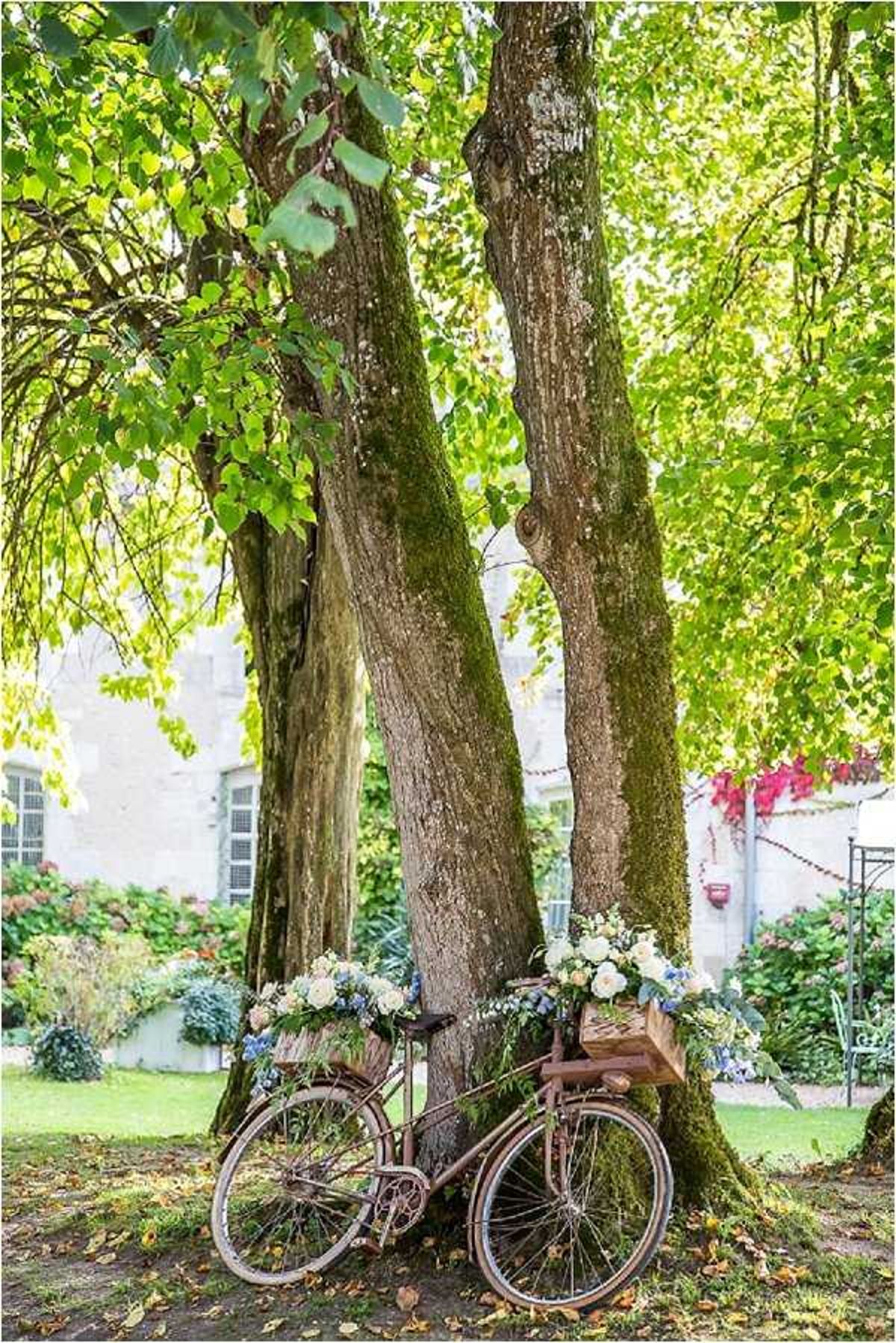 French Country Wedding Flower Bike