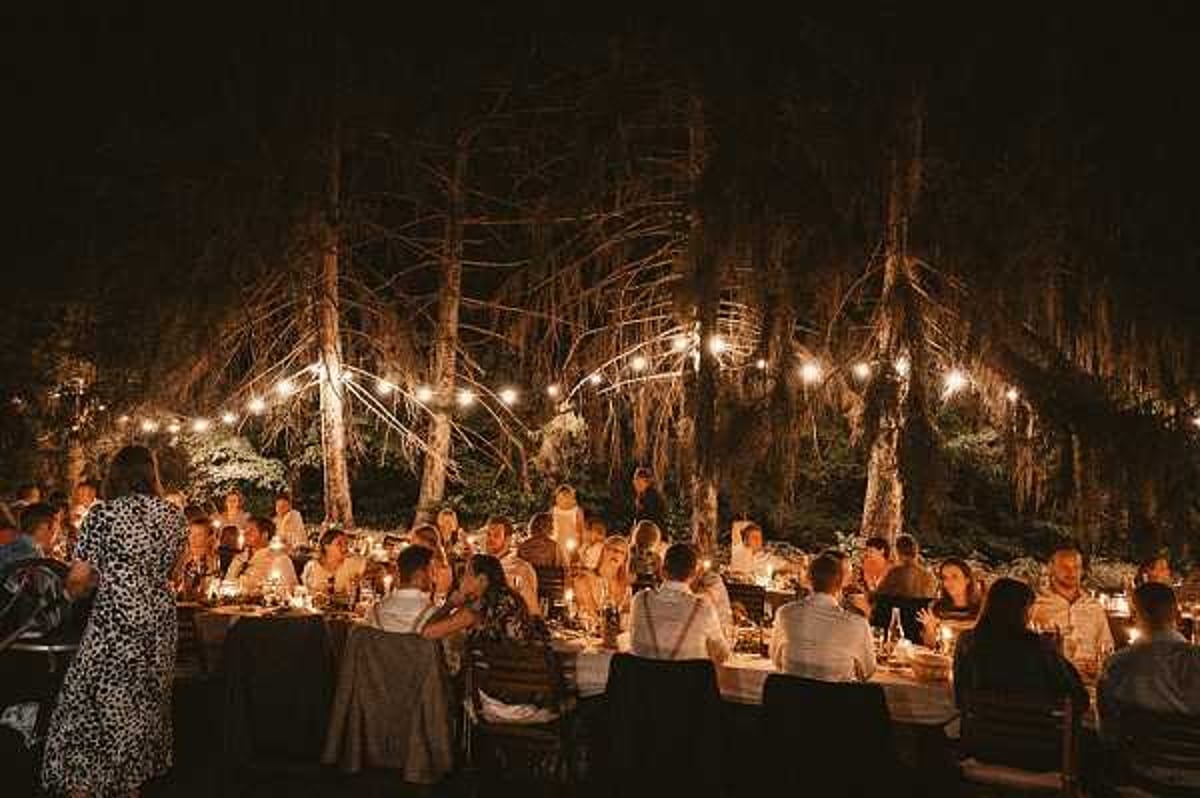 An outdoor evening wedding reception dinner is taking place in a wooded setting, with approximately 40-50 guests seated at long banquet-style tables arranged among tall, bare-trunked trees. The scene is lit almost entirely by warm-toned Edison bulb string lights strung between the trees overhead, along with candles on the tables, creating a dark and atmospheric mood against the black night sky. Guests are dressed in a mix of casual and semi-formal attire, including a notable black-and-white patterned dress on the left. The overall styling aesthetic is rustic and organic, with the natural woodland environment serving as the primary decorative backdrop. Wide-angle shot taken from a slightly elevated perspective, capturing the full length of the tables.