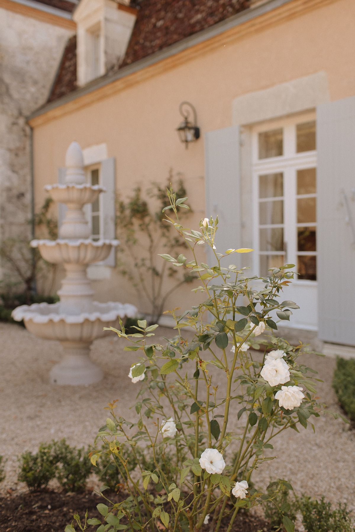 An outdoor shot of the courtyard of a French château or manor house, featuring a two-tiered stone fountain as the central background element. The building facade is rendered in a warm peach tone with pale grey-blue shutters, white-framed French windows, and a wrought-iron wall lantern. In the foreground, a rose bush with open white blooms is sharply in focus, while the fountain and building recede softly into a shallow depth-of-field blur. The gravel courtyard and neatly trimmed boxwood hedging are visible at the base of the composition. No people are present in the image. Potential venue feature image.