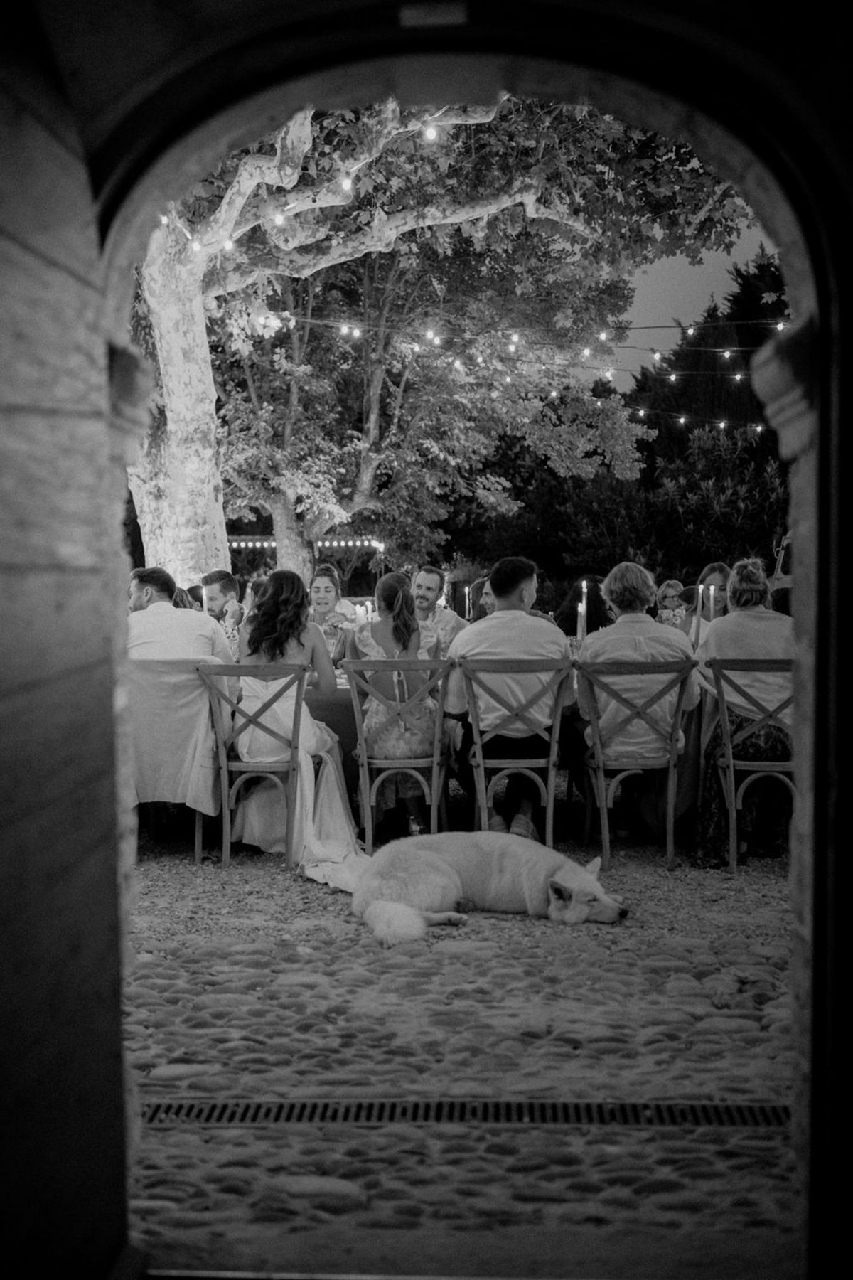 This black-and-white image shows an outdoor evening wedding reception dinner framed through a stone archway, giving the composition a voyeuristic, candid quality. Approximately ten to twelve guests are seated along a long rectangular table set with cross-back wooden chairs and lit by tall taper candles, while string bistro lights are strung through and around a large tree overhead, creating bright pinpoint highlights against the dark sky. A bride in a light-colored gown is visible seated at the table, identifiable by the fabric pooling near her chair, and the group appears engaged in lively conversation. In the foreground, a large light-colored dog lies relaxed on the gravel courtyard directly beneath the table, adding an informal, candid detail to the scene.