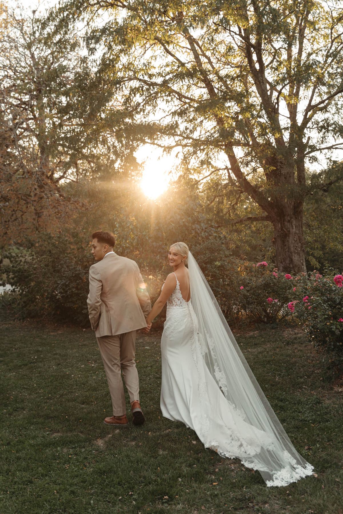 An outdoor couple portrait taken at golden hour in a garden setting, with the couple holding hands and walking away from the camera across a lawn. The bride turns back toward the lens with a smile, wearing a fitted white lace gown with a low open back, thin straps, and a cathedral-length lace-edged veil that trails across the ground behind her. The groom wears a tan suit with brown leather oxford shoes and faces away from the camera. The warm backlight from the low sun creates a strong lens flare between the tree trunks. Pink flowering rose bushes are visible in the background to the right. The composition is a wide portrait shot, framing the full length of both figures and the veil.