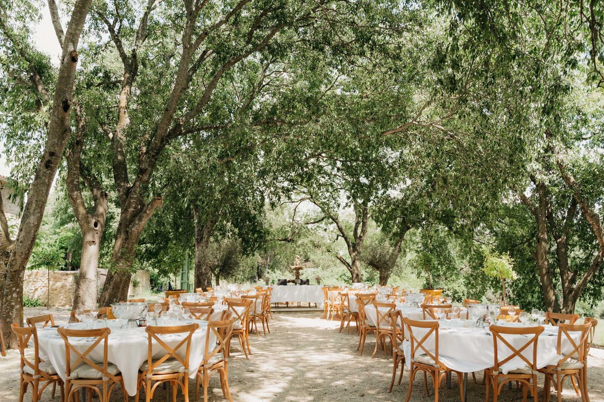 Outdoor reception with round white tables and cross-back chairs under mature tree canopy