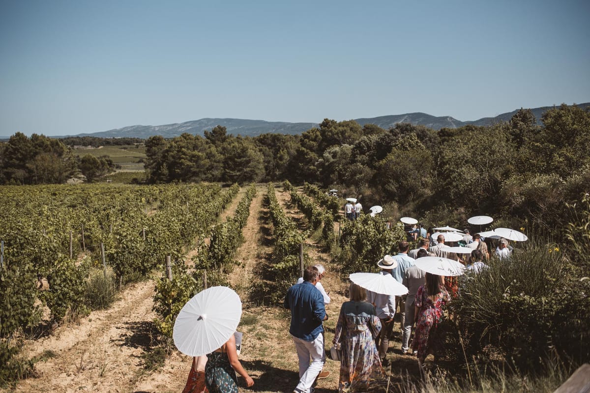 Twenty-five guests walking through vineyard rows carrying white paper parasols on sunny day
