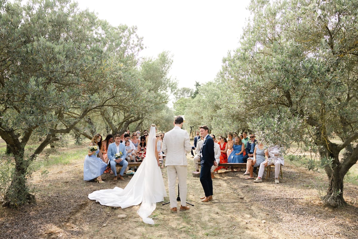 Olive grove ceremony with couple at altar and thirty guests on rustic wooden benches