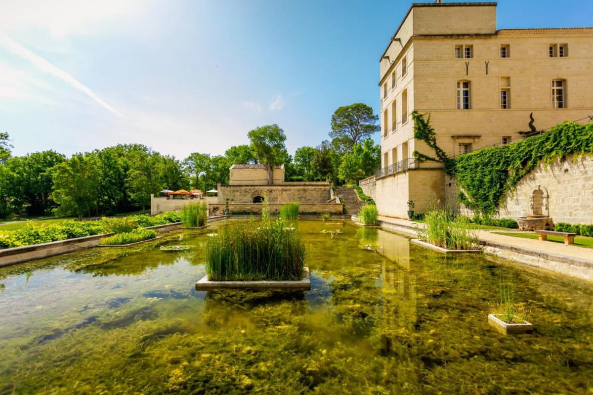 Wide-angle exterior shot of the grounds of a French château, featuring a large ornamental reflecting pool or water garden in the foreground with stone planting islands and aquatic grasses growing from the water. The multi-story château building in cream-colored limestone is visible on the right, partially covered in climbing ivy, with a stone staircase and iron railing leading up from the garden level. In the background, colorful market-style umbrellas in orange and white are visible, suggesting a cocktail or reception setup area. The grounds include formal terraced garden walls with arched stone details and a small fountain niche. No people are visible in the image. Potential venue feature image.