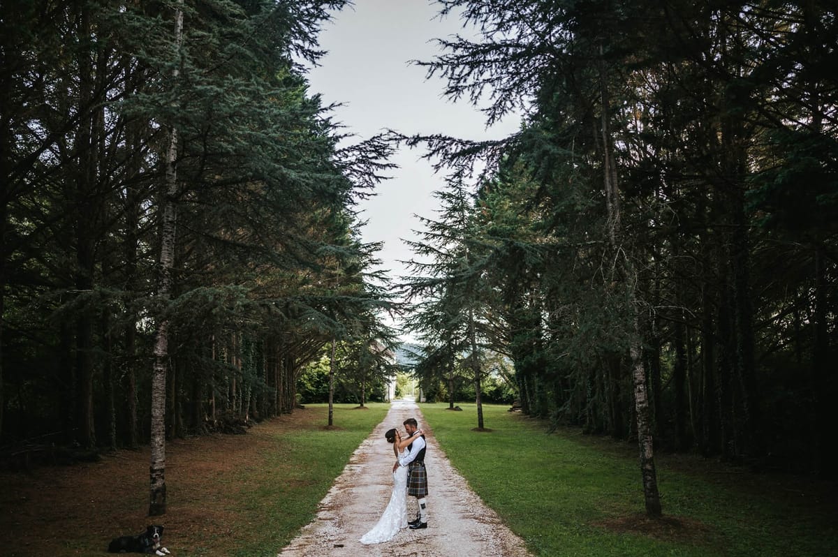 Bride and groom embracing on tree-lined gravel driveway with dog lying nearby at French estate