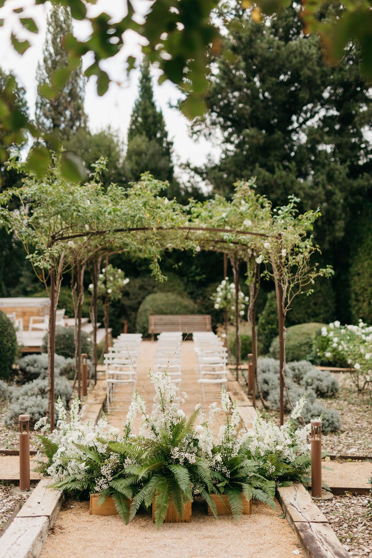 Ceremony aisle under iron pergola with climbing roses white chairs fern arrangements and box hedging