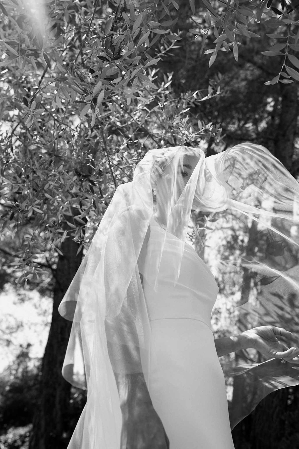 Bride's veil flowing in breeze beneath olive trees in black and white at Château Sainte-Roseline