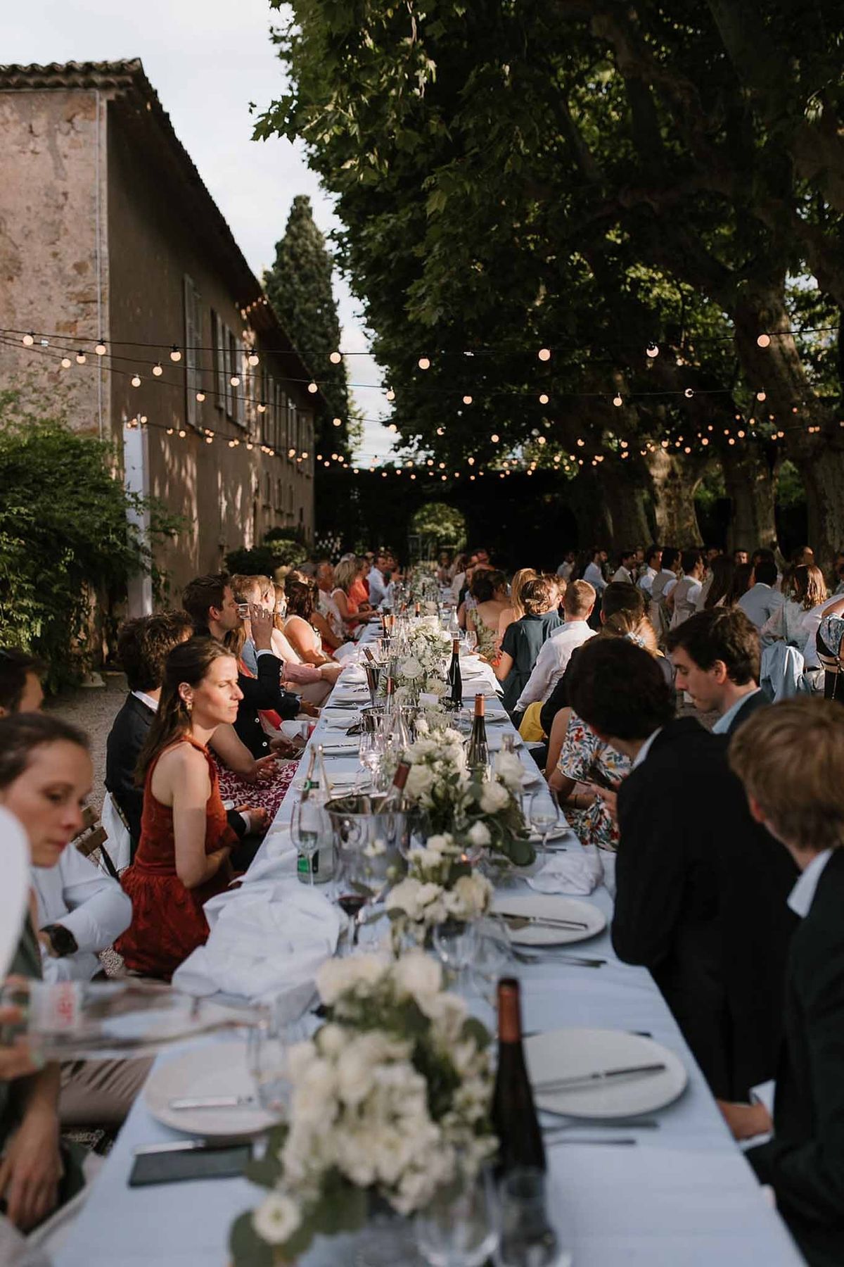 Guests at outdoor dinner under plane trees with festoon lights at Château Sainte-Roseline