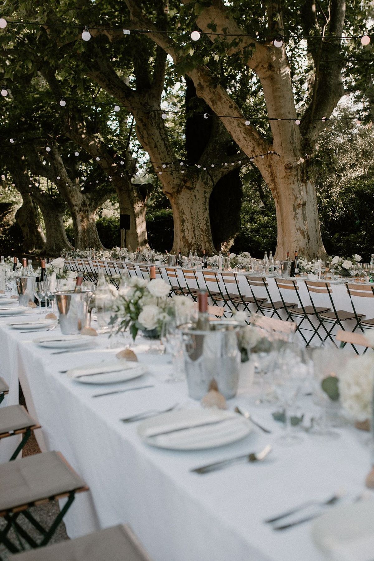 Long banquet table dressed in white linen with silver coolers and white florals beneath ancient plane trees at Château Sainte-Roseline