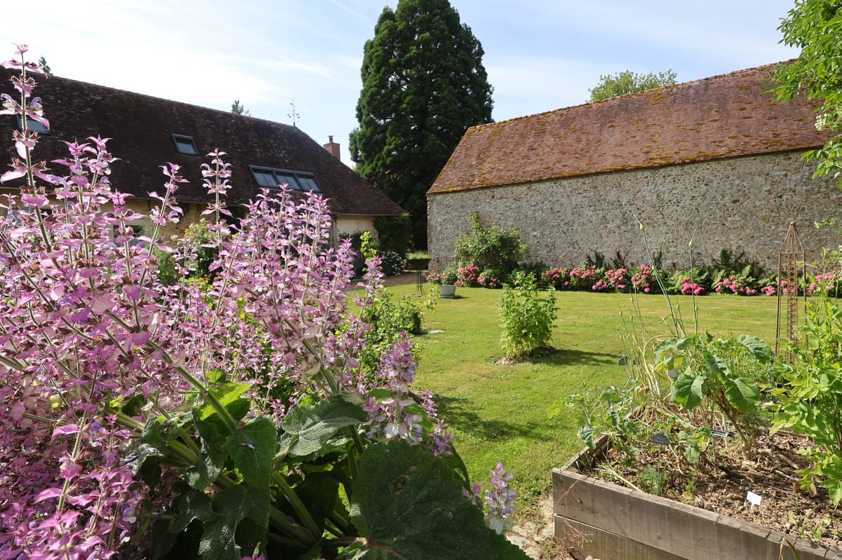 Walled garden courtyard of a French country property with hydrangeas, stone barn, and terracotta tile roof in summer