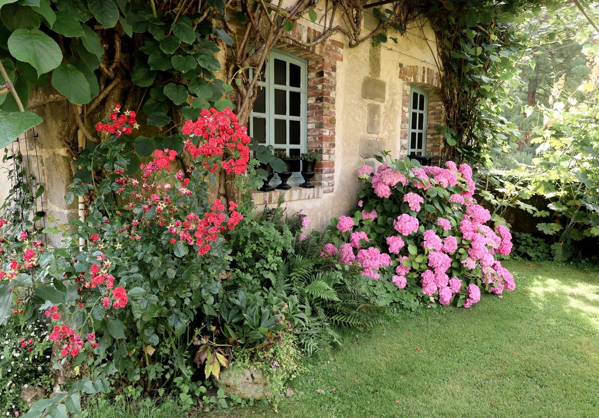 French country stone building exterior with sage green window frames, pink hydrangeas, and climbing roses