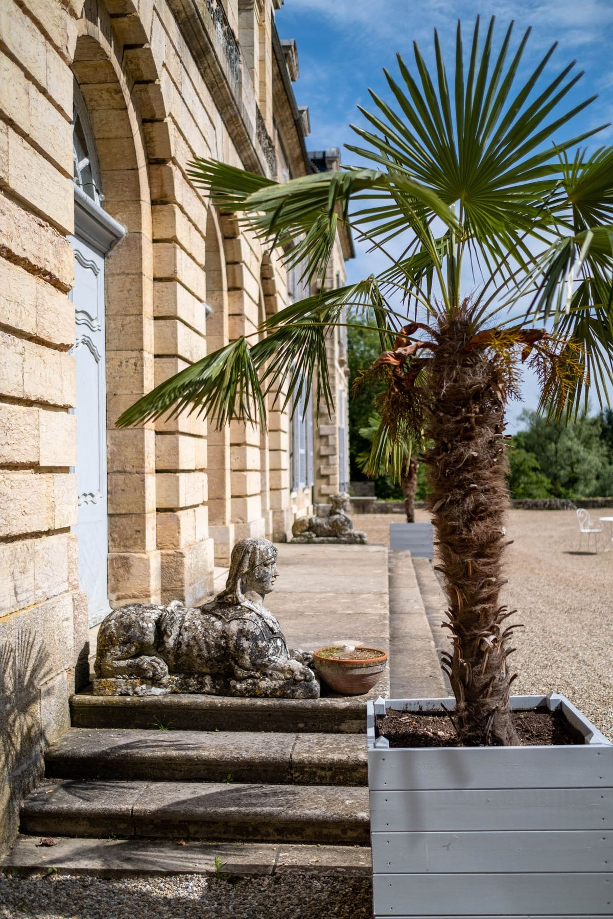 An exterior architectural shot of a French château facade, showing a stone terrace or walkway running along the building's length. The building features cream-colored limestone construction with arched windows and pale blue-grey painted doors and window frames. In the foreground, a fan palm tree is planted in a light grey rectangular wooden planter box, with additional matching planters visible further along the terrace. A weathered stone sphinx sculpture sits on the steps at the base of the building, with a small terracotta bowl placed nearby, and additional stone sculptures are visible further down the terrace. The ground is covered in fine gravel. No people are present in the image. Wide shot, taken from a low-angle perspective along the length of the façade. Potential venue feature image.