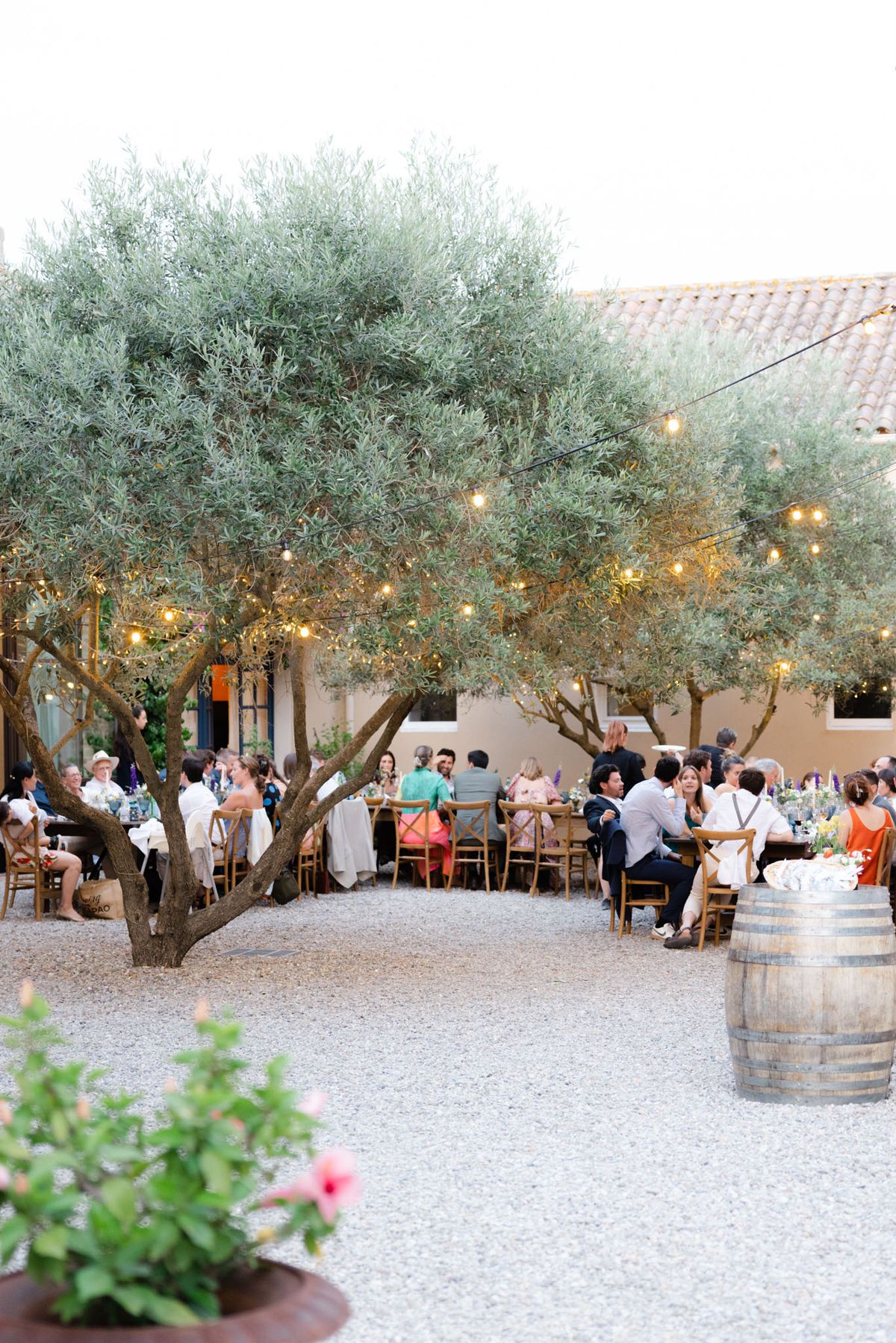 Outdoor reception dinner under string lights in an olive tree courtyard at a Provencal domaine