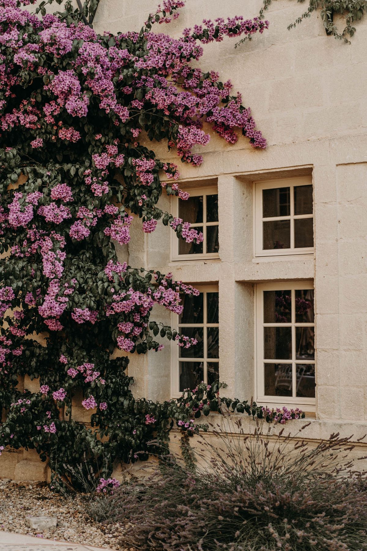 A close-up architectural shot of a French stone building facade featuring cream-colored limestone walls with two sets of white-framed multi-pane windows arranged vertically. A large climbing bougainvillea with vivid violet-pink blooms spreads extensively across the left side of the facade, with branches reaching across the upper portion of the wall. Dried lavender bushes and a gravel border are visible at the base of the building. No people are present in the frame. Potential venue feature image.