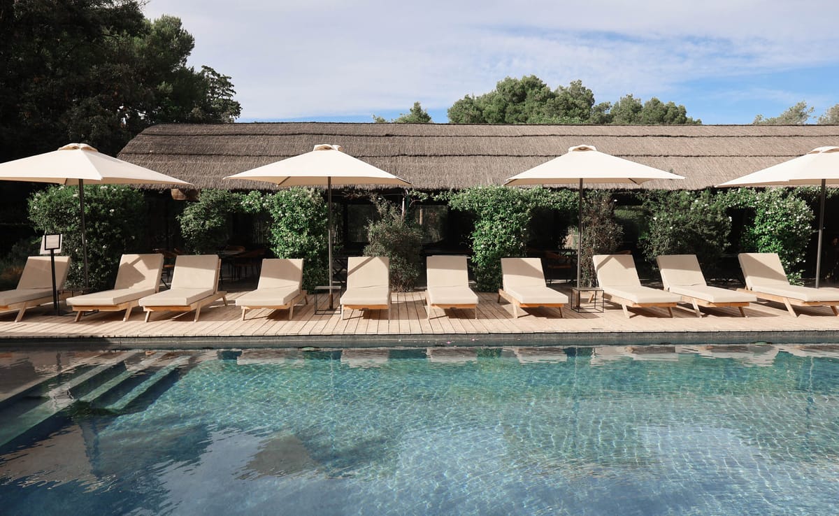 Rectangular pool with teak sun loungers and cream umbrellas beside thatched building with climbing greenery