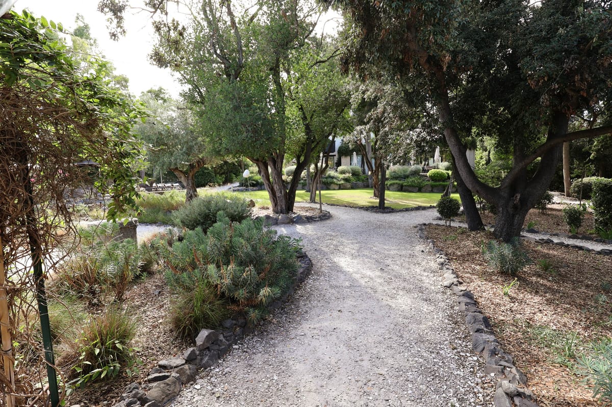 A wide shot of an outdoor venue grounds showing a gravel pathway lined with dark stone edging, mature olive-style trees, low ornamental shrubs, and trimmed topiary balls. The path leads toward a building with light-colored façade visible in the background, alongside a manicured lawn area. No people are present in the image. The overall aesthetic is rustic Mediterranean with a naturalistic garden design. Potential venue feature image.