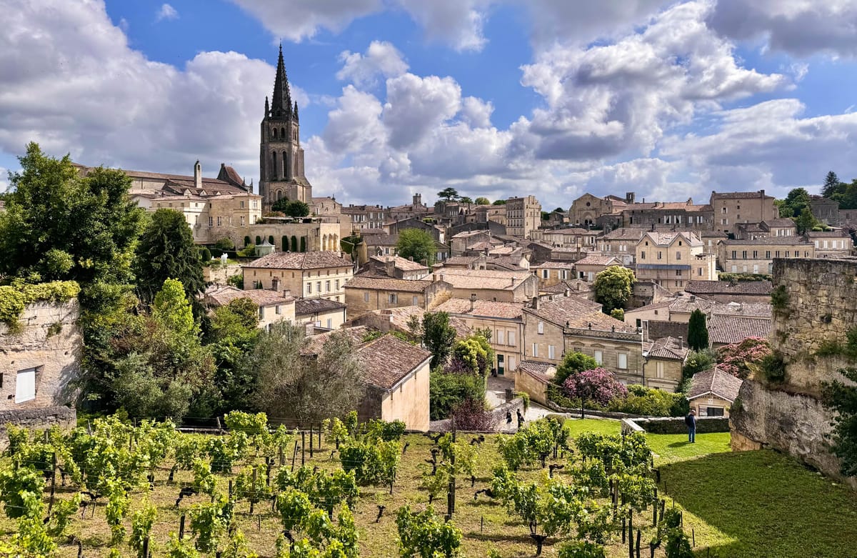 Wide panoramic shot of a historic French village, identifiable as Saint-Émilion in the Bordeaux region, showcasing a dense cluster of honey-colored limestone buildings with terracotta-tiled rooftops dominated by a tall Gothic church spire at the center. In the foreground, rows of grapevines in a working vineyard stretch across the lower portion of the frame, with a few small figures visible near the mid-ground. No wedding subjects, couple, bridal party, or wedding-specific decor are present in this image. Potential venue feature image.