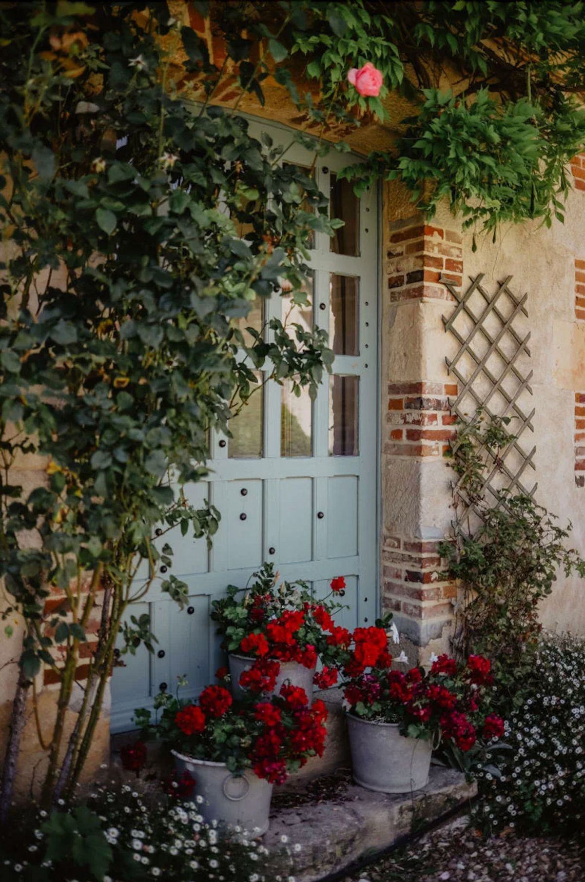 A close-up architectural detail shot of a French country property entrance featuring a pale blue-grey painted wooden door with glass panels and black stud hardware. The doorstep is decorated with several zinc/grey metal pots planted with vivid red geraniums, and a single pink climbing rose blooms overhead amid dense green climbing foliage. A wooden diamond-pattern trellis is mounted to the right of the door on a rendered wall with exposed red brick detailing. No people are present in the image. The composition is a medium close-up framing the doorway as a decorative venue feature. Potential venue feature image.