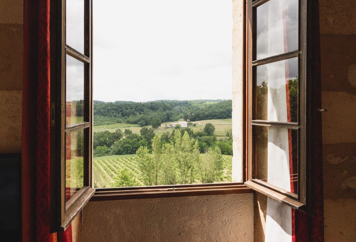 View through open French windows across vineyard to poplar trees and rolling green countryside