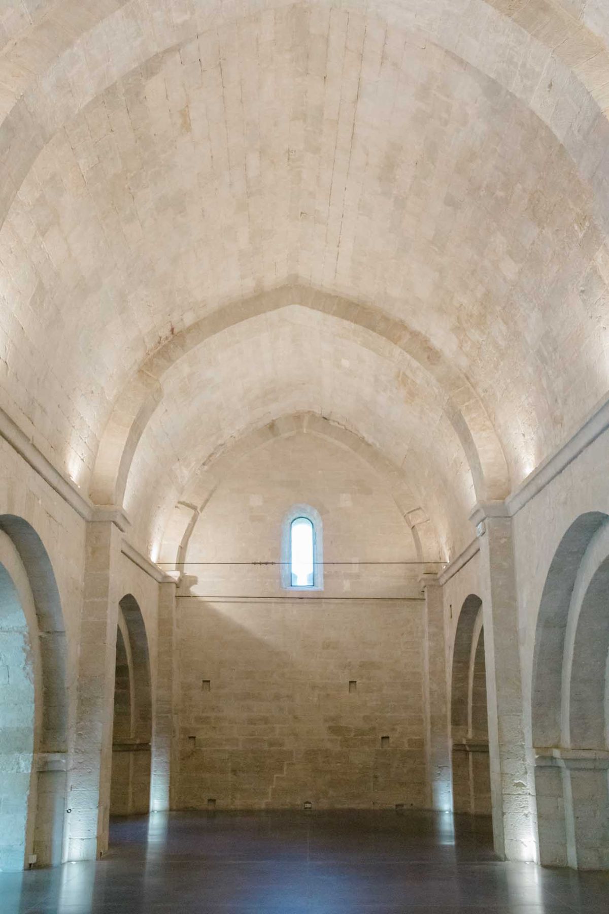 Barrel-vaulted limestone hall with Gothic pointed arches, rounded stone arcades, and narrow end window