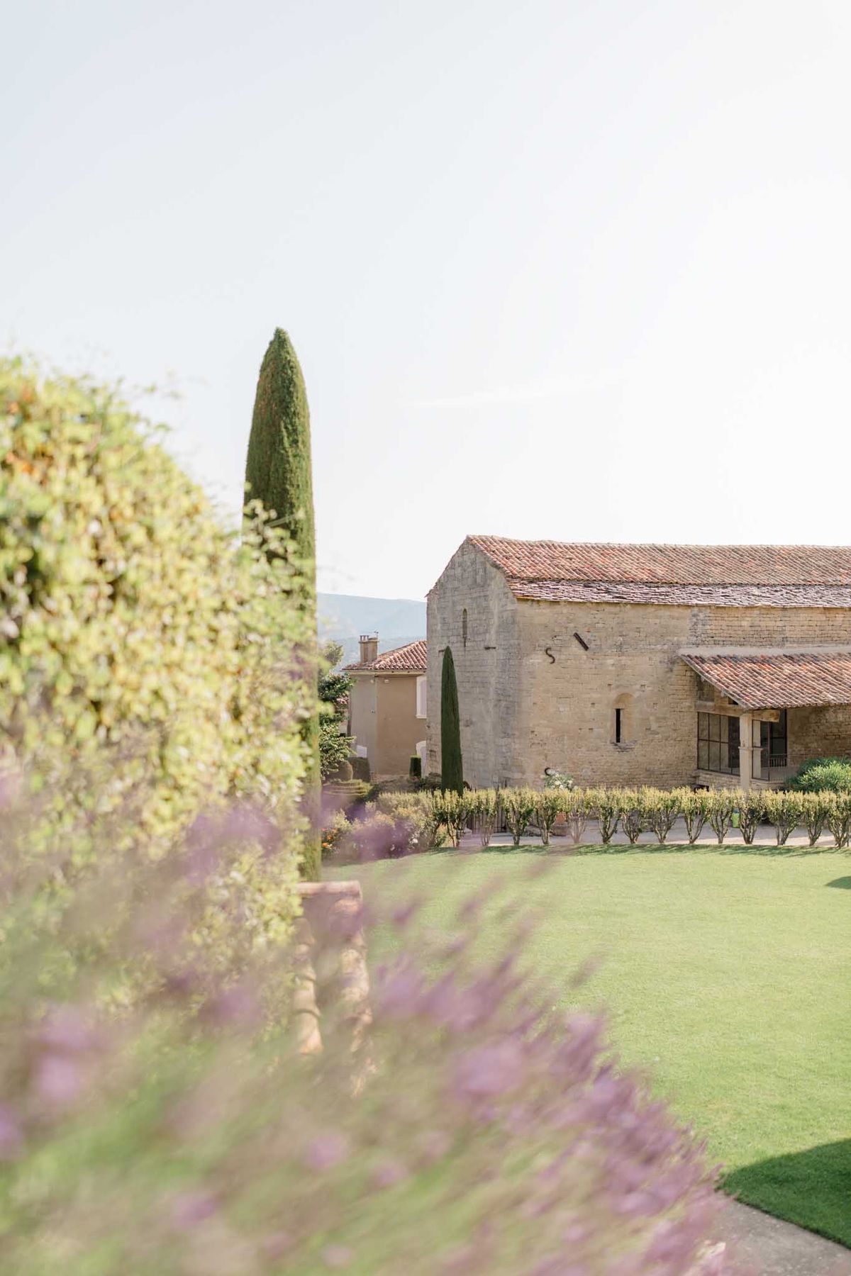 An outdoor wide shot showcasing the grounds and architecture of a Provençal stone venue, featuring a large barn-style building with terracotta roof tiles, limestone walls, and steel-framed windows. The property includes formally manicured hedgerows, columnar cypress trees, and a wide lawn, with soft purple blooms — likely lavender — blurred in the foreground. No people are visible in the frame. The image is shot with a shallow depth of field, with the foreground foliage deliberately out of focus to frame the venue buildings in the background. Potential venue feature image.