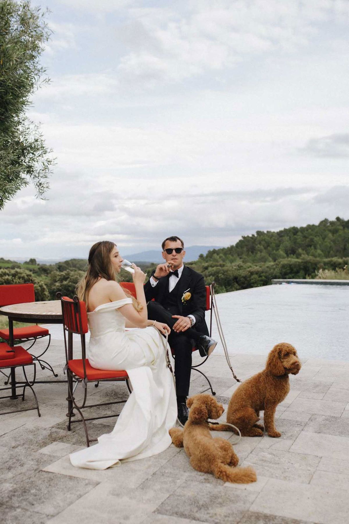Bride and groom seated by infinity pool with champagne and two golden doodle dogs at their feet