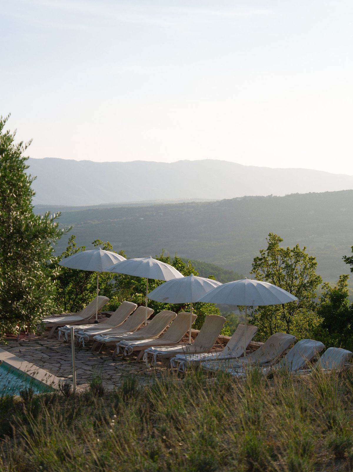 Outdoor pool terrace at a hillside venue, shot from a slight distance with foreground lavender plants framing the scene. A row of approximately eight cream-cushioned sun loungers lines a stone-paved pool deck, shaded by four large white canvas parasols. No people are visible. The pool is partially visible at the lower left edge. The setting has a Provençal character, with the terrace positioned at elevation overlooking a wide valley and layered mountain ridges in the soft hazy background. The overall styling is relaxed and understated, with neutral tones throughout the furniture and umbrella fabric. Wide-angle landscape shot. Potential venue feature image.