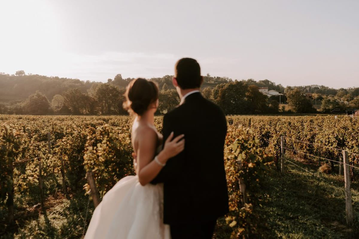 Bride and groom photographed from behind facing vineyard rows during golden hour with soft-focus foreground
