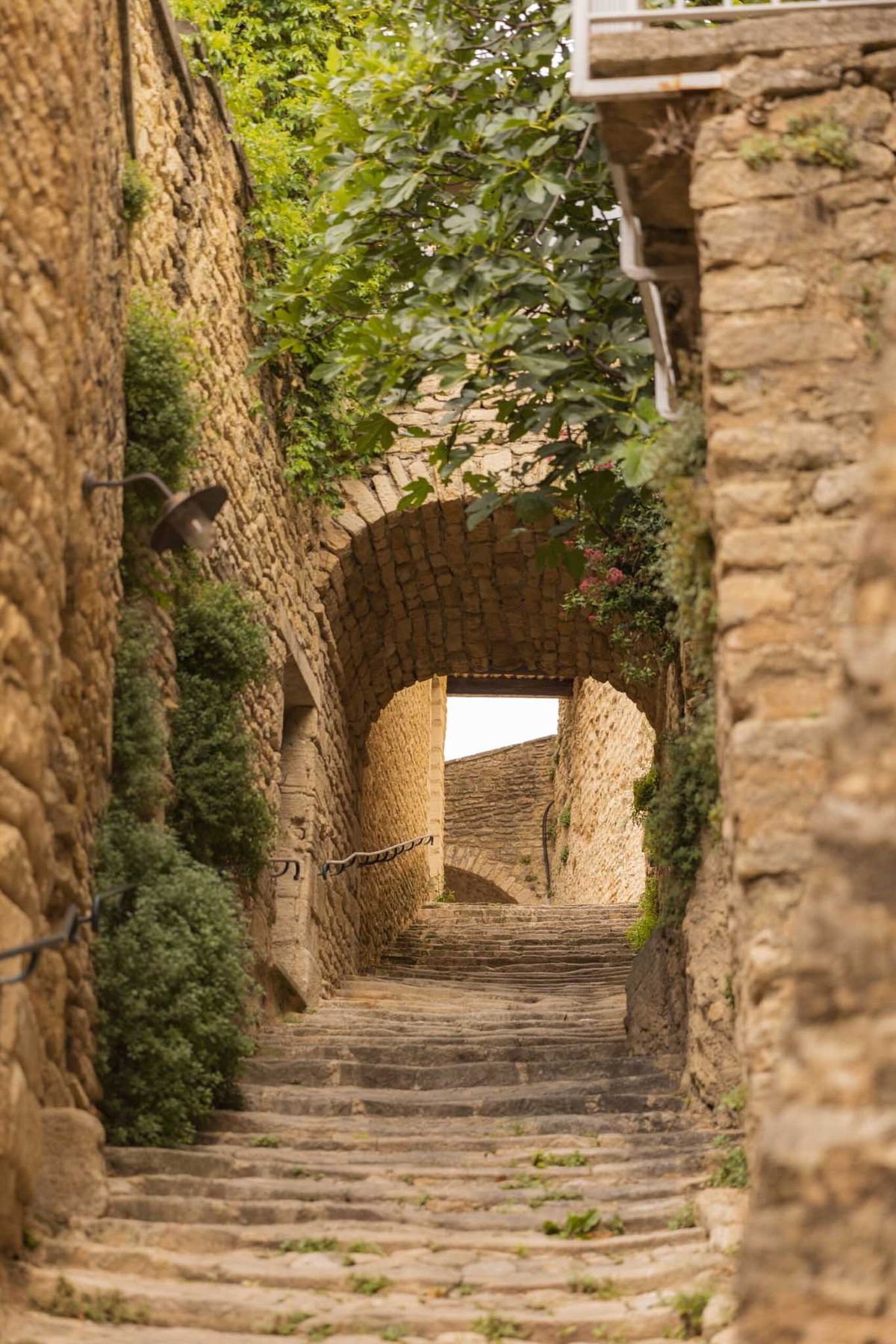 Narrow stone staircase descending through arched tunnels with fig branches and pink flowers