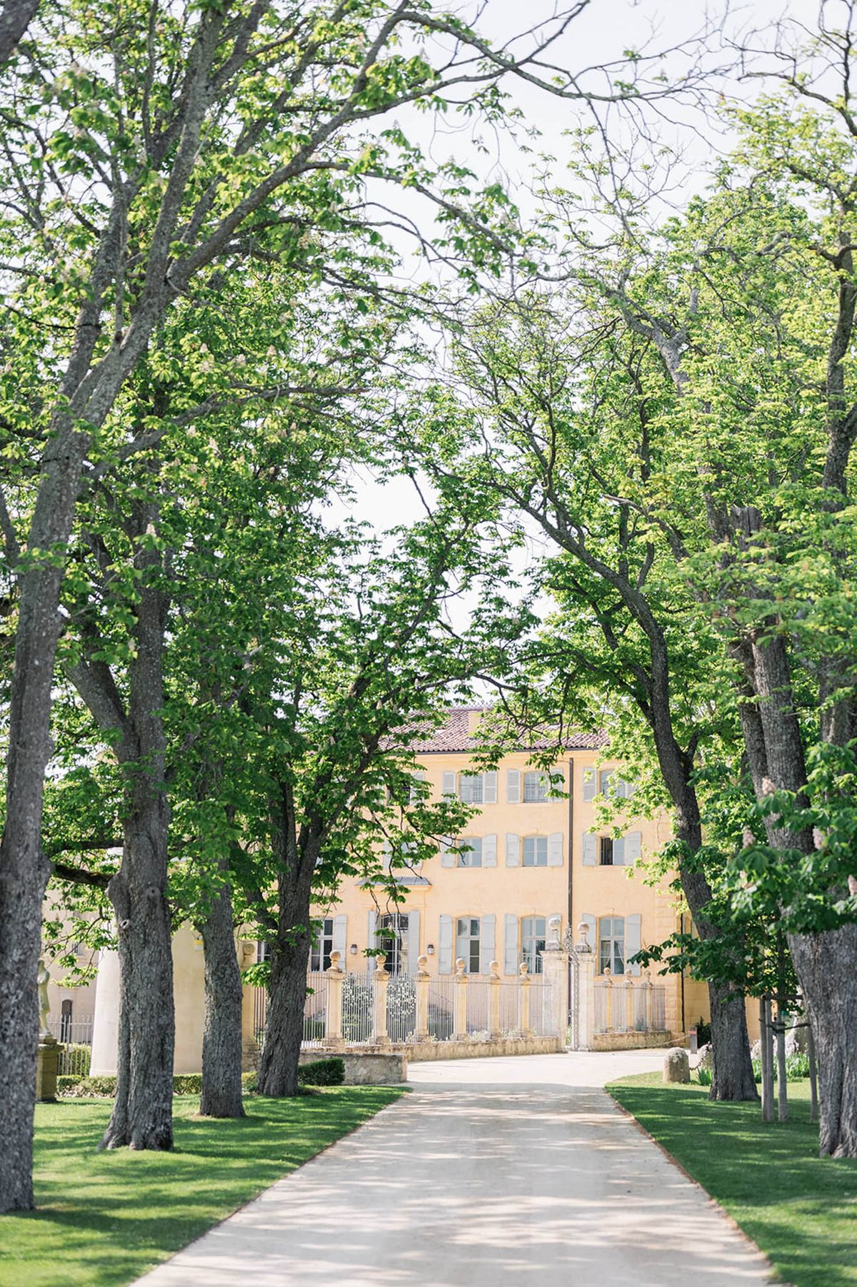 Tree-lined driveway leading to ochre chateau with grey shutters terracotta roof and iron gate