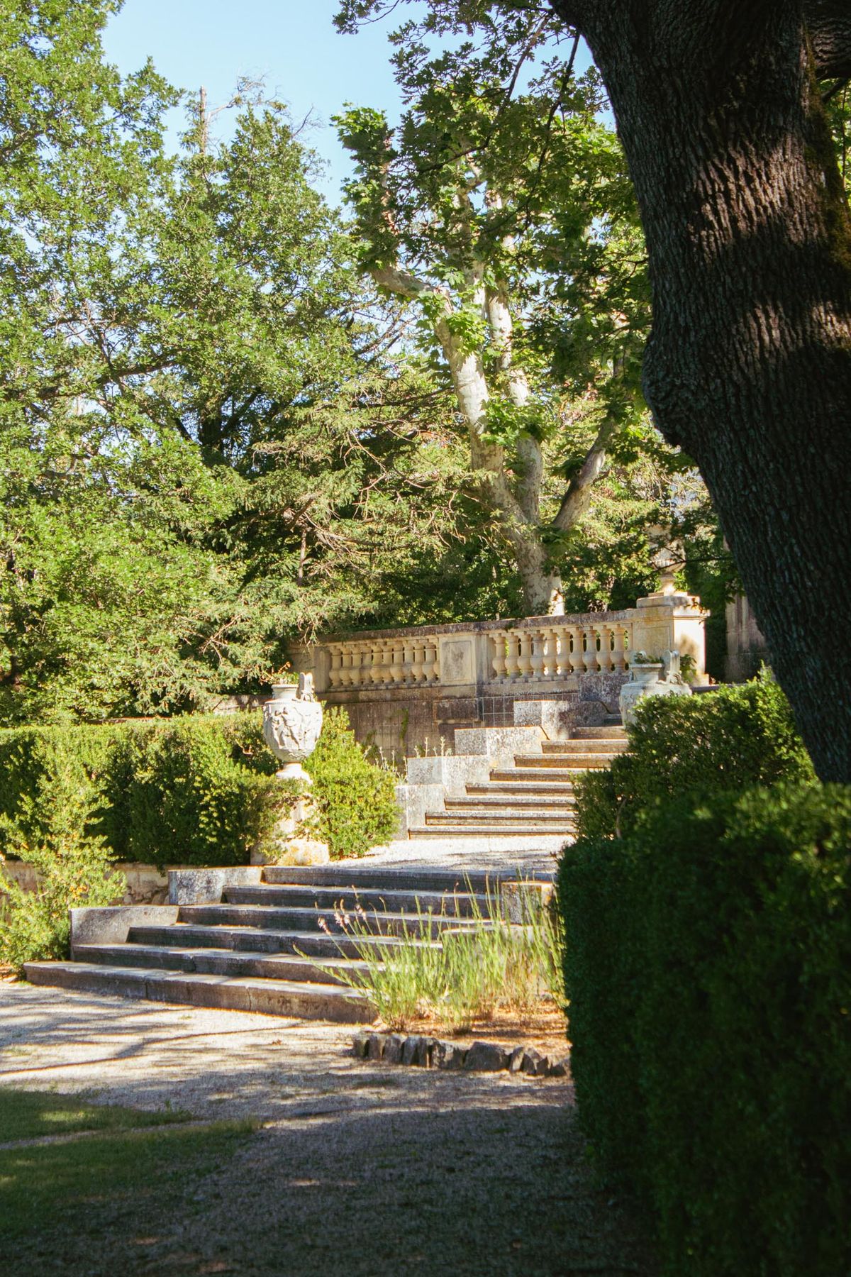 Stone staircase with carved urns and box hedging leading to classical balustrade terrace in formal garden