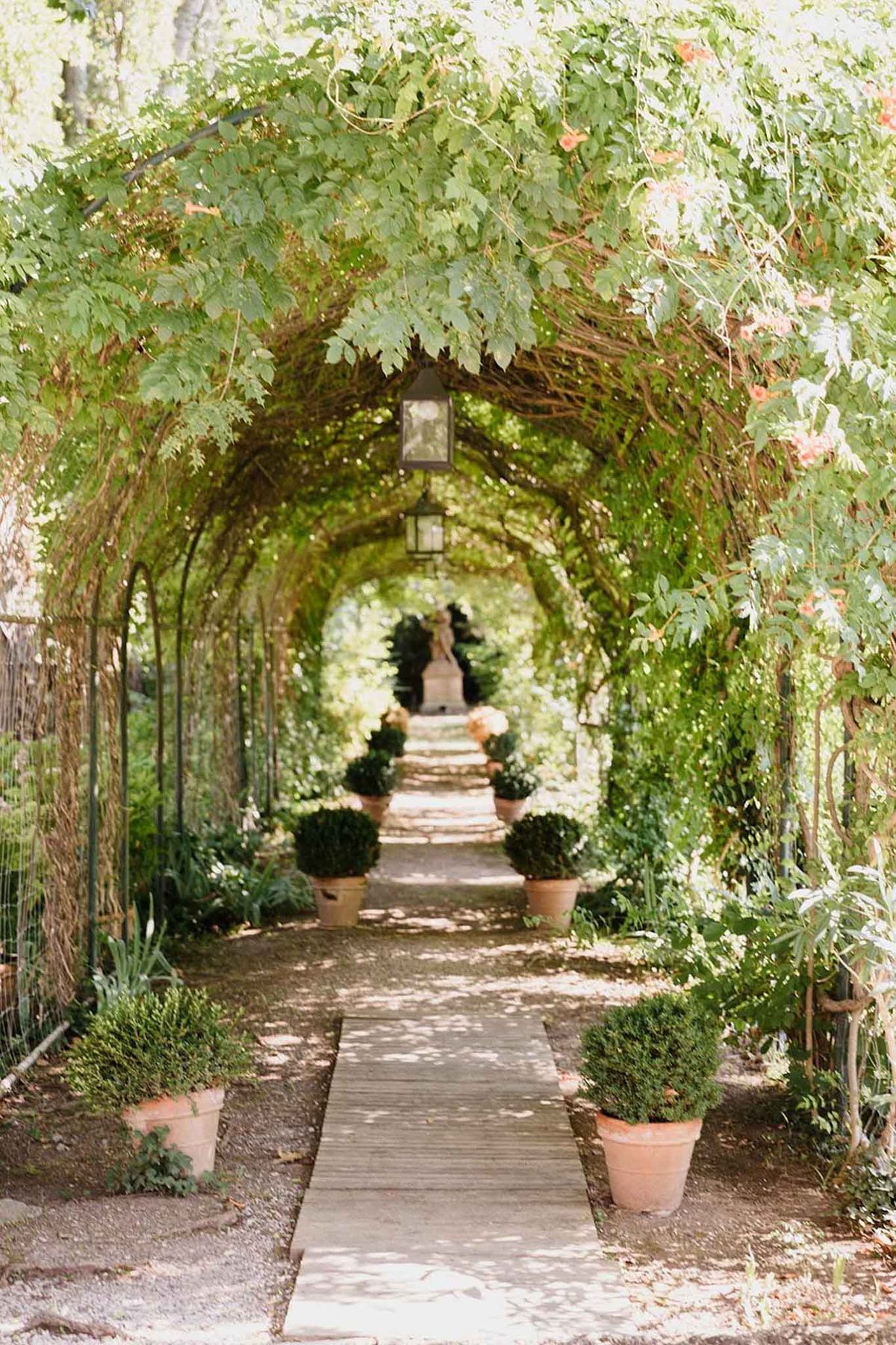 A wide shot of an outdoor garden pergola tunnel formed by a series of arched metal frames densely covered in climbing vines and leafy green foliage. A wooden boardwalk pathway runs through the center of the tunnel, flanked by terracotta pots containing clipped round boxwood topiaries arranged in pairs along the length of the path. A black lantern-style pendant light hangs from one of the upper arches, and a stone garden statue is visible at the far end of the tunnel, serving as a focal point. The overall decor style is classic formal French garden with a structured, symmetrical layout. Potential venue feature image.