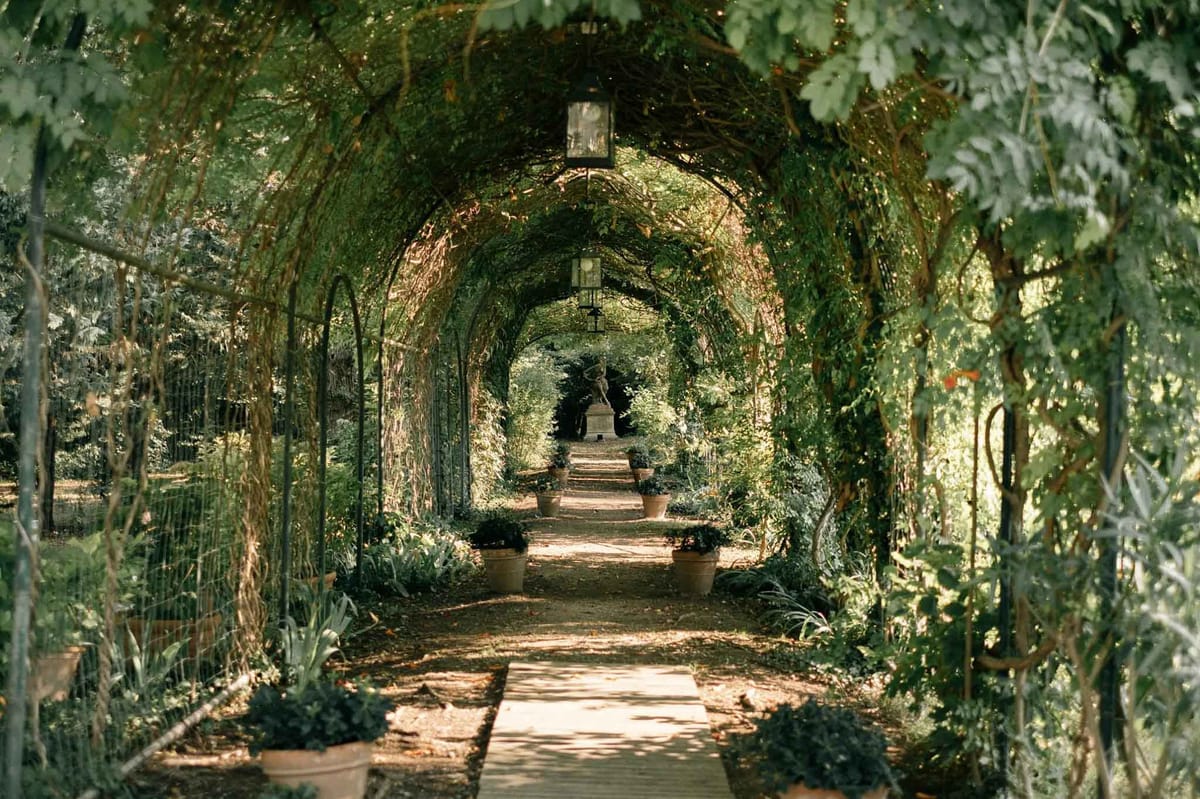 An outdoor garden walkway featuring a long pergola tunnel formed by arching metal frames densely covered in climbing vines and foliage, shot from a centered perspective looking down the path. The tunnel leads to a classical stone statue at the far end, with a paved walkway flanked by terracotta and stone planters holding trimmed green shrubs and leafy plants. Two black metal lanterns hang from the pergola structure at intervals along the tunnel. No people are present in the frame. The overall styling is classic formal French garden, with a symmetrical composition and dappled natural light filtering through the dense vine canopy. Wide establishing shot. Potential venue feature image.