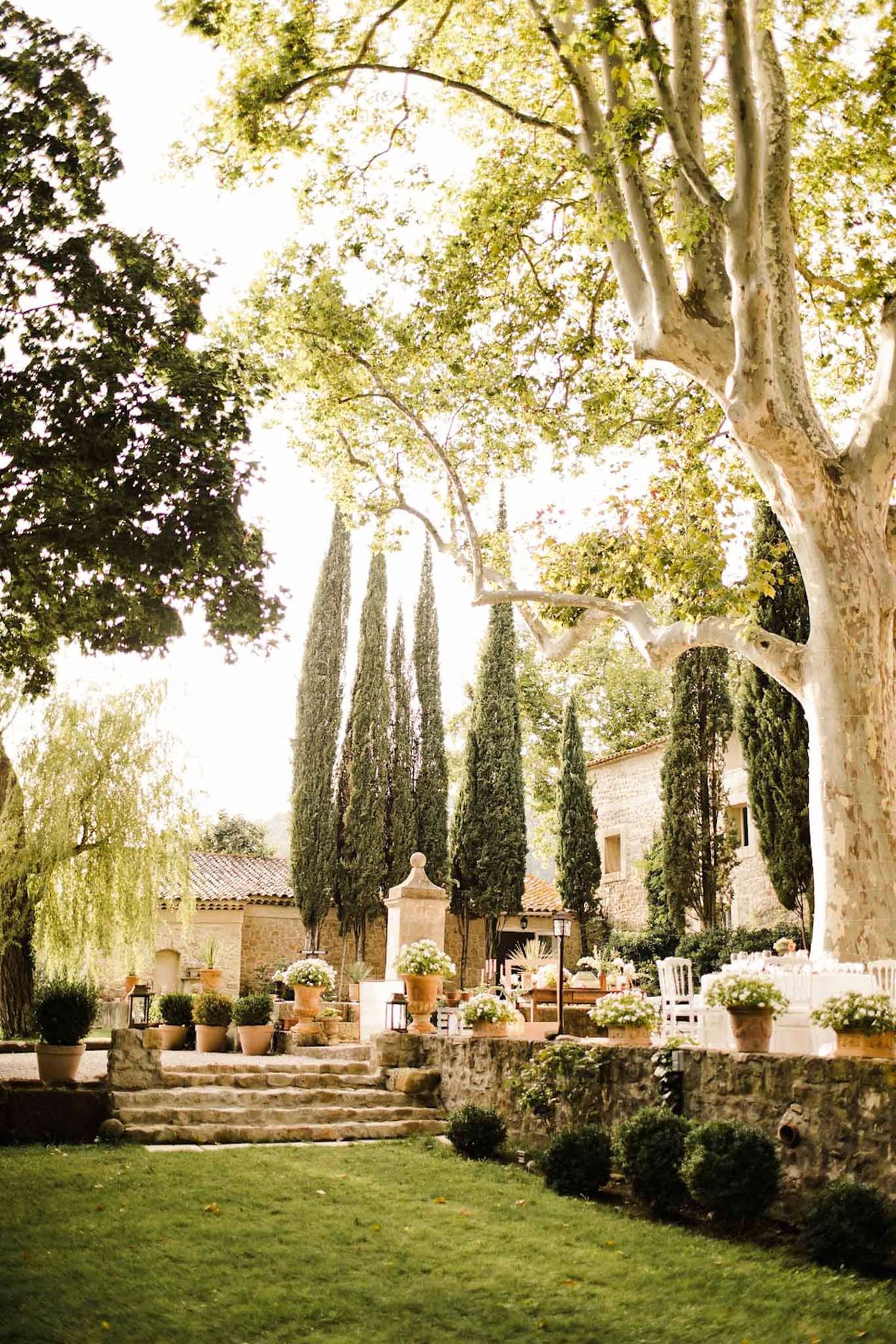 An outdoor wedding setup at a Provençal mas or domaine, photographed from a wide-angle perspective across a manicured lawn. The venue features honey-toned stone buildings with terracotta tile roofs, flanked by a row of tall Italian cypress trees and a large plane tree with white-grey bark dominating the right foreground. Stone steps lead up to a raised terrace where ceremony or cocktail seating is arranged, with white chairs visible in the background. The terrace is decorated with large terracotta urns overflowing with white flowering plants, black iron lanterns, and clusters of trimmed boxwood spheres lining the low stone retaining wall. The overall decor palette is warm terracotta, white, and green, consistent with a classic Provençal or rustic French country styling theme. No people are visible in the image. Potential venue feature image.