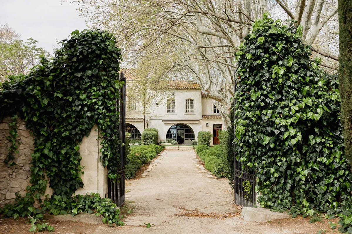 Classical European estate entrance with ivy-covered pillars and iron gates leading to cream stone building