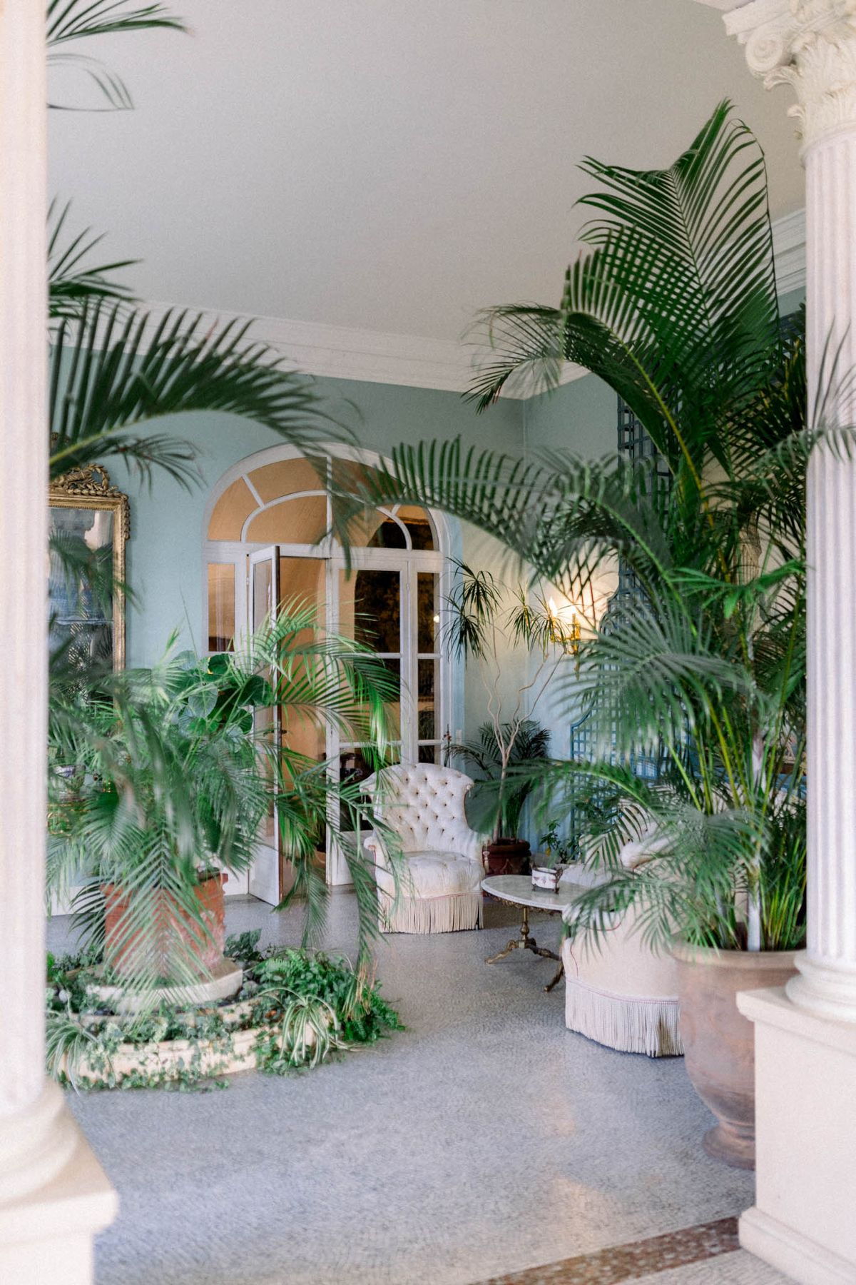 Conservatory with neoclassical columns, tropical palms, and cream tufted armchair