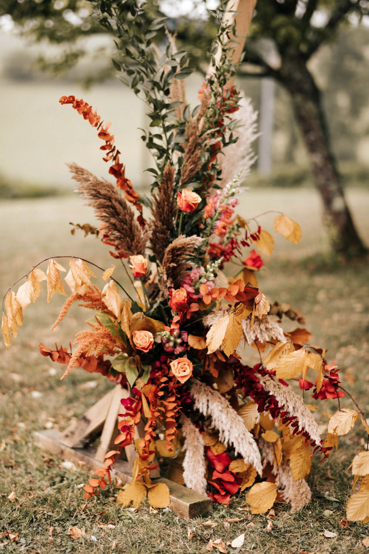 Autumn ceremony arch floral arrangement with peach roses, burgundy hydrangeas, pampas grass on wooden geometric frame